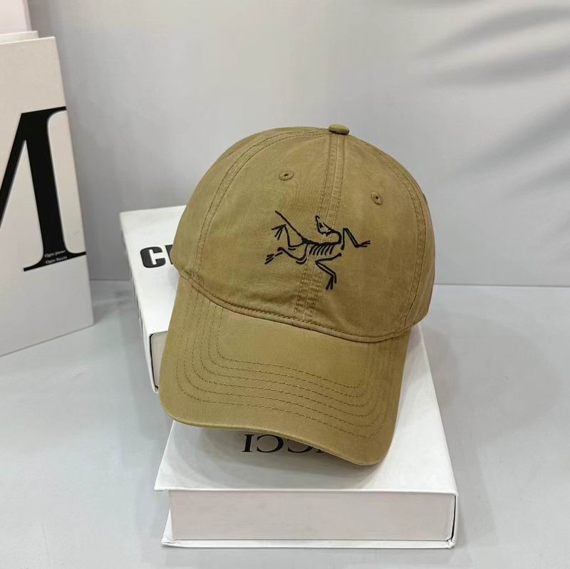 Arcteryx cap (1)